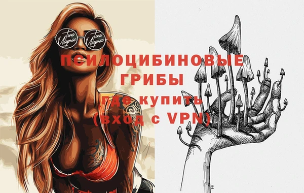 трава Магас