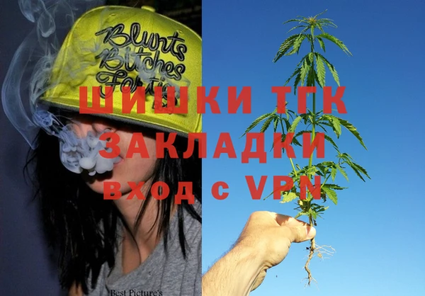 трава Магас