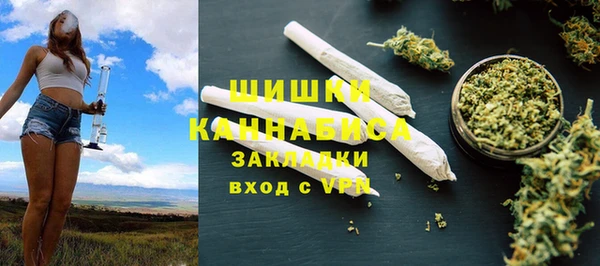 трава Магас