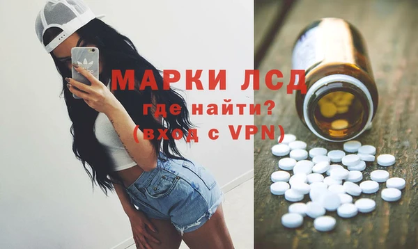 трава Магас